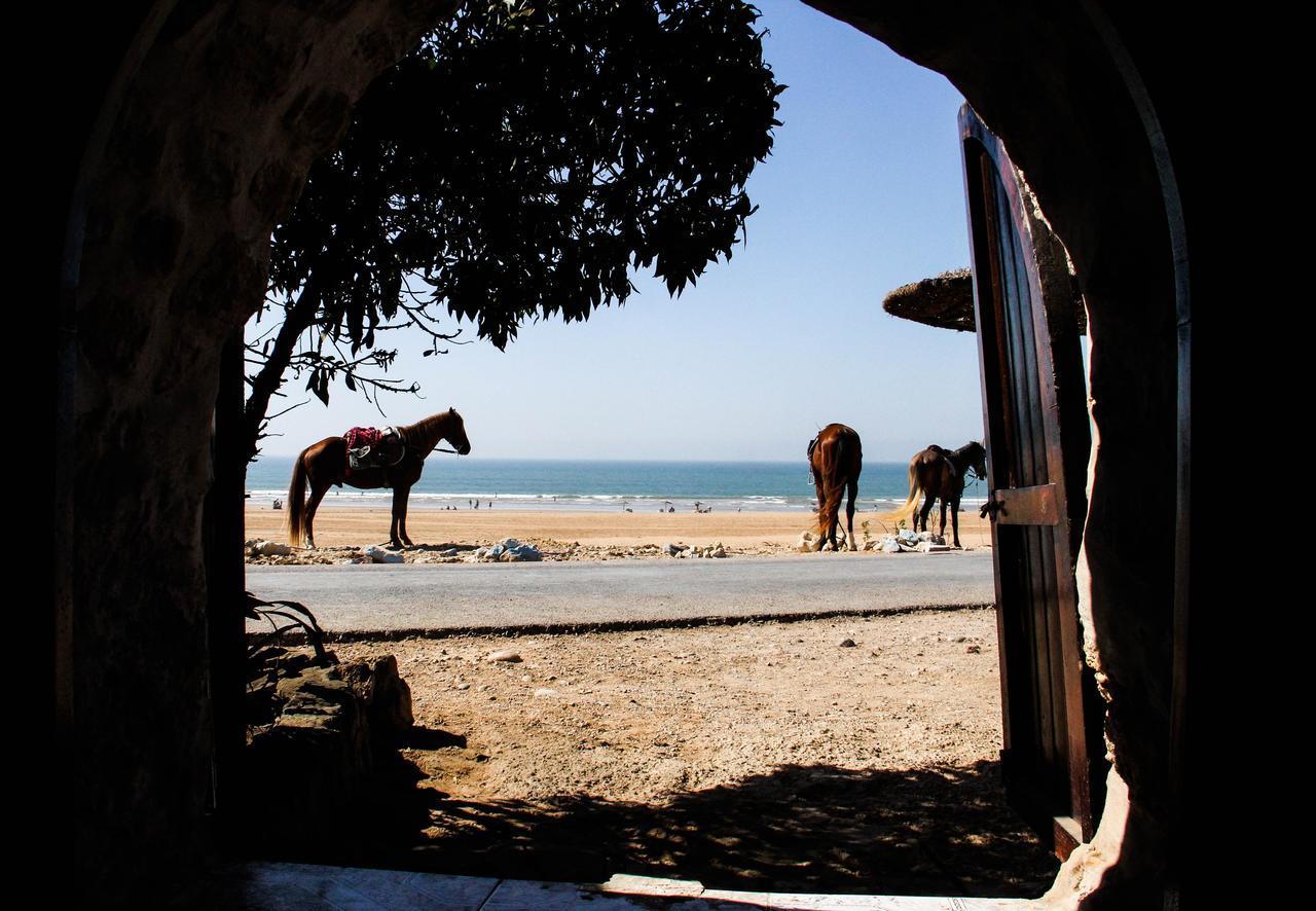 Sidi Kaouki Al Vent Bed & Breakfast Iskoua Dış mekan fotoğraf